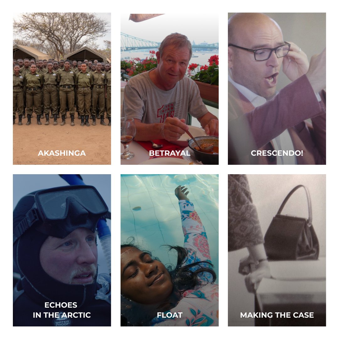 Tribeca's tweet photo. True stories are often the most compelling. We’re celebrating our nominees for Best Documentary Short—judged by @asiakatedillon, @thesheilanevins, and @martinoxon—at our #Tribeca2020 #JuriedAwards presented by @ATT. Join us April 29 at 7pm EST on IGTV: https://t.co/4W6BupeGZY https://t.co/Q0yFtNT6V8