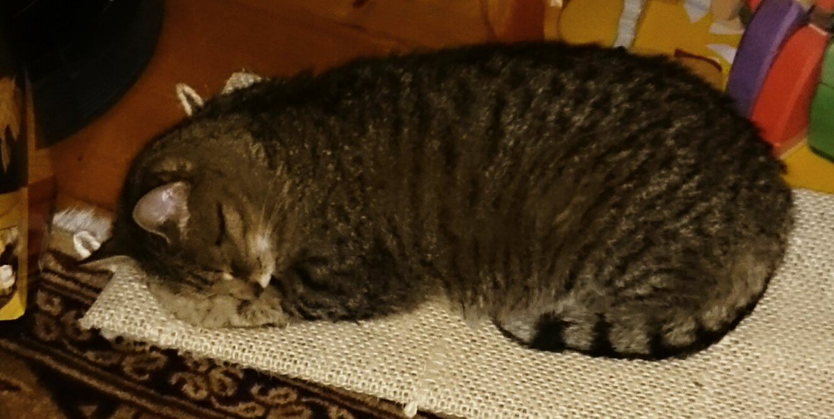 MelanieBergma18's tweet image. #SystemExit #exitRacism