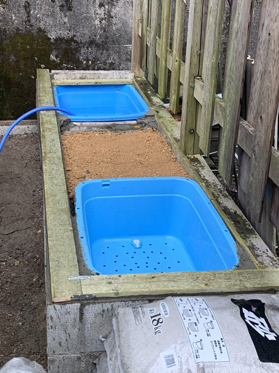 0863 亀池新設作業 基礎工事の後 産卵床を埋め込んで 柵設置用の木材をブロックに固定 後は陸地のコンクリートを打って柵設置だけになりました ステイホーム週間に仕上げたいと思います 日本イシガメ 日本石亀 ニホンイシガメ イシガメ 絶滅危惧