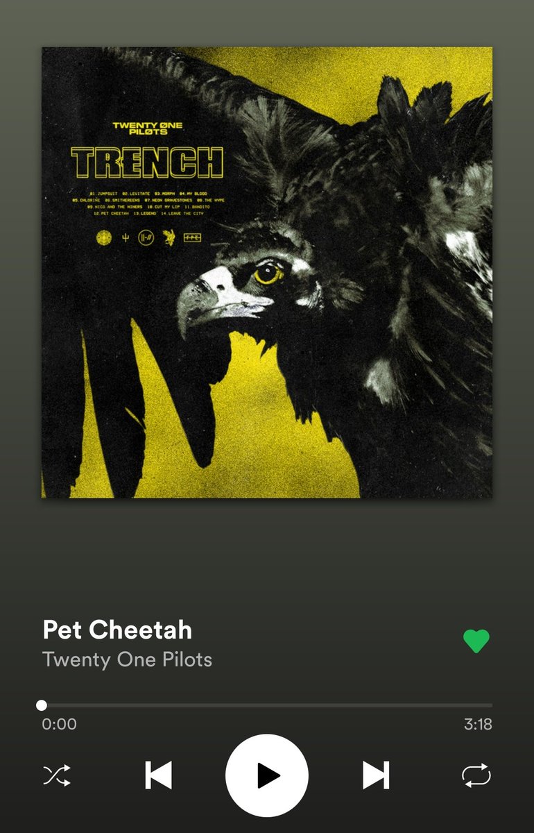 Pet Cheetah - Dionysusbangin' anthems about being immersed in your art