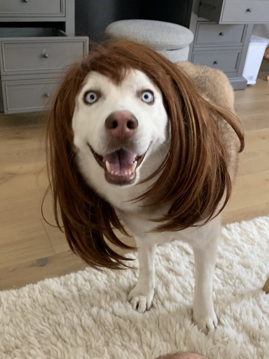 shanedawson's tweet photo. Quarantines going great https://t.co/OTzHZ1NryR
