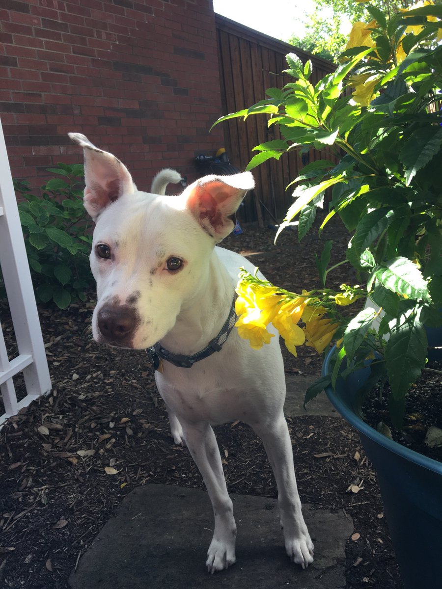 Liv 🌙 tweet media