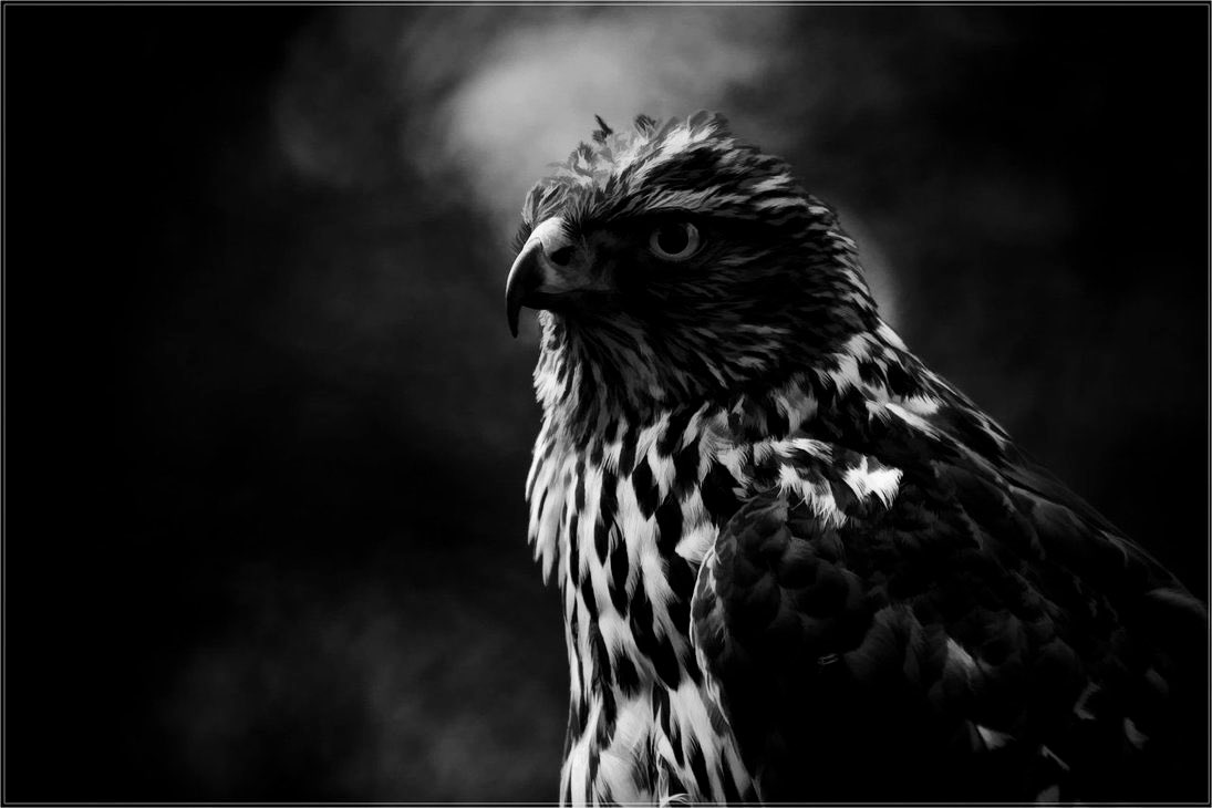 َ
َ
لا يغرك كل #طير على #الفاقه يحوم تختلف #عوج المناقير في غاراتها ..
َ
َ
َ