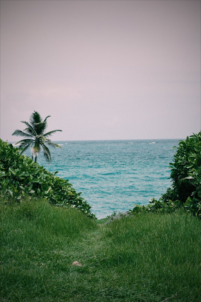 addessinna's tweet photo. Scenes of home. 🇧🇧 https://t.co/2tDuXOkm7B
