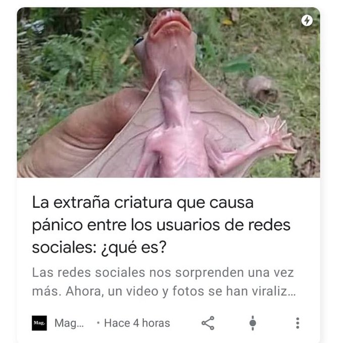 Falta que le pongan nombre para que se lo empiecen a comer los chinos. https://t.co/pkltWJrfyX