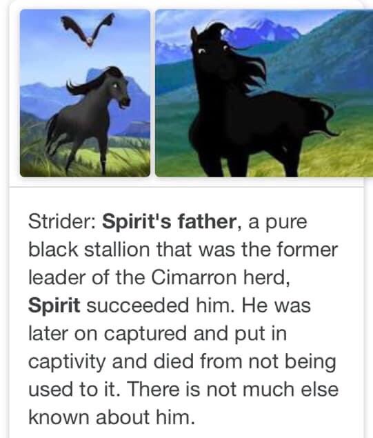 Spirit Stallion Of The Cimarron Father