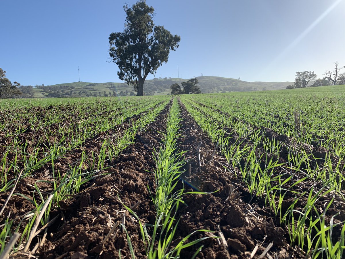 Agpro Consulting tweet media