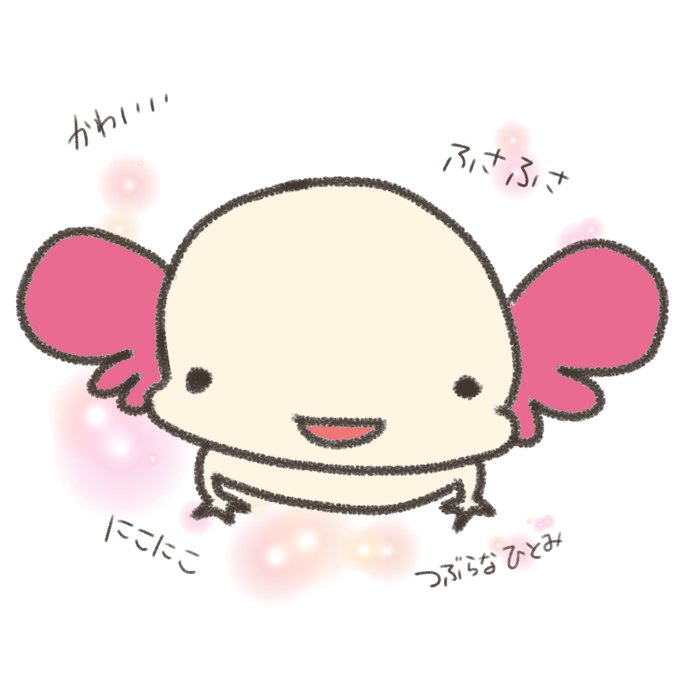ウーパールーパーのtwitterイラスト検索結果 古い順 ウーパールーパーのtwitterイラスト検索結果 古い順