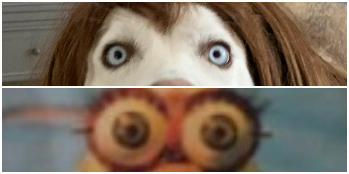 stcompilations's tweet photo. @shanedawson https://t.co/ZYsNxIUWle