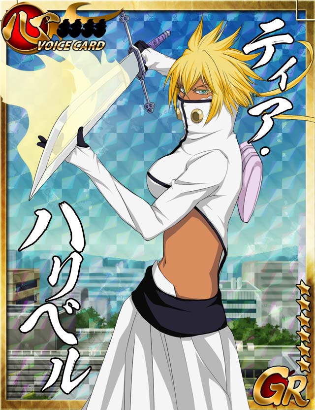 bleach ブリーチ　 2010 ポスター 日番谷冬獅郎　ハリベル　1枚 bleach ブリーチ 2010 ポスター 日番谷冬獅郎 ハリベル 1枚 bleach