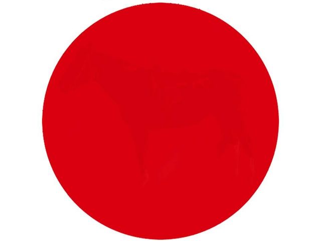 PUZZLETake a look at the picture below. Is there anything other than a red dot? If Yes; describe in Details what you see. If No, simply say so. I will post the answer in a few hours. Your answer will depend on how your eyes and brain work together. So what do you see, if any?