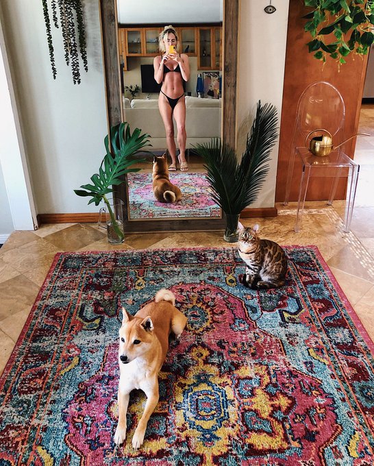 quarantine crew 😻💕🦊 https://t.co/Ra8kWjk8mS<a href="/tag/fullyloadedtour"class="tags"><span>#fullyloadedtour</span></a>