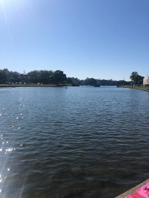 msnolakt's tweet photo. Best (quarantine) fest ! #festinginplace #nofilter #champsonthebayou🕺🏼🎶🍾 https://t.co/QG7HDKGYbv