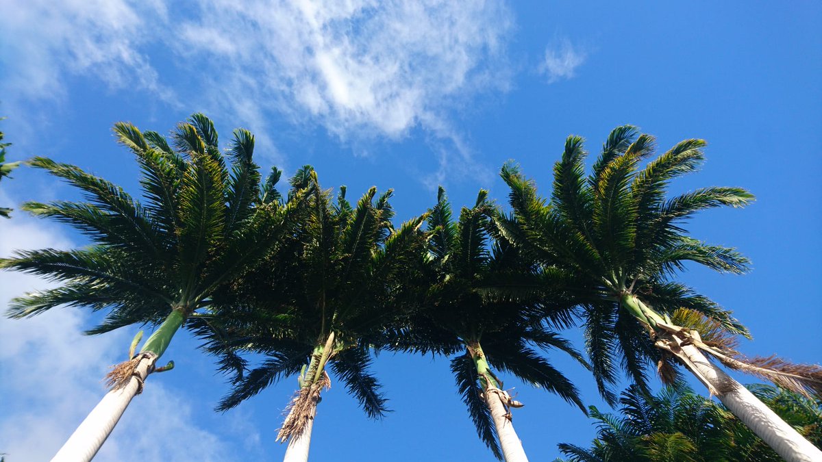 Offering sunny skies and picture-perfect weather, West Palm Beach is a paradise for exciting all-year-round entertainment.

#WestPalmBeach #Seawolf #SeawolfExpeditionYacht #YachtDestinations #LuxuryDestinations #YachtStyle