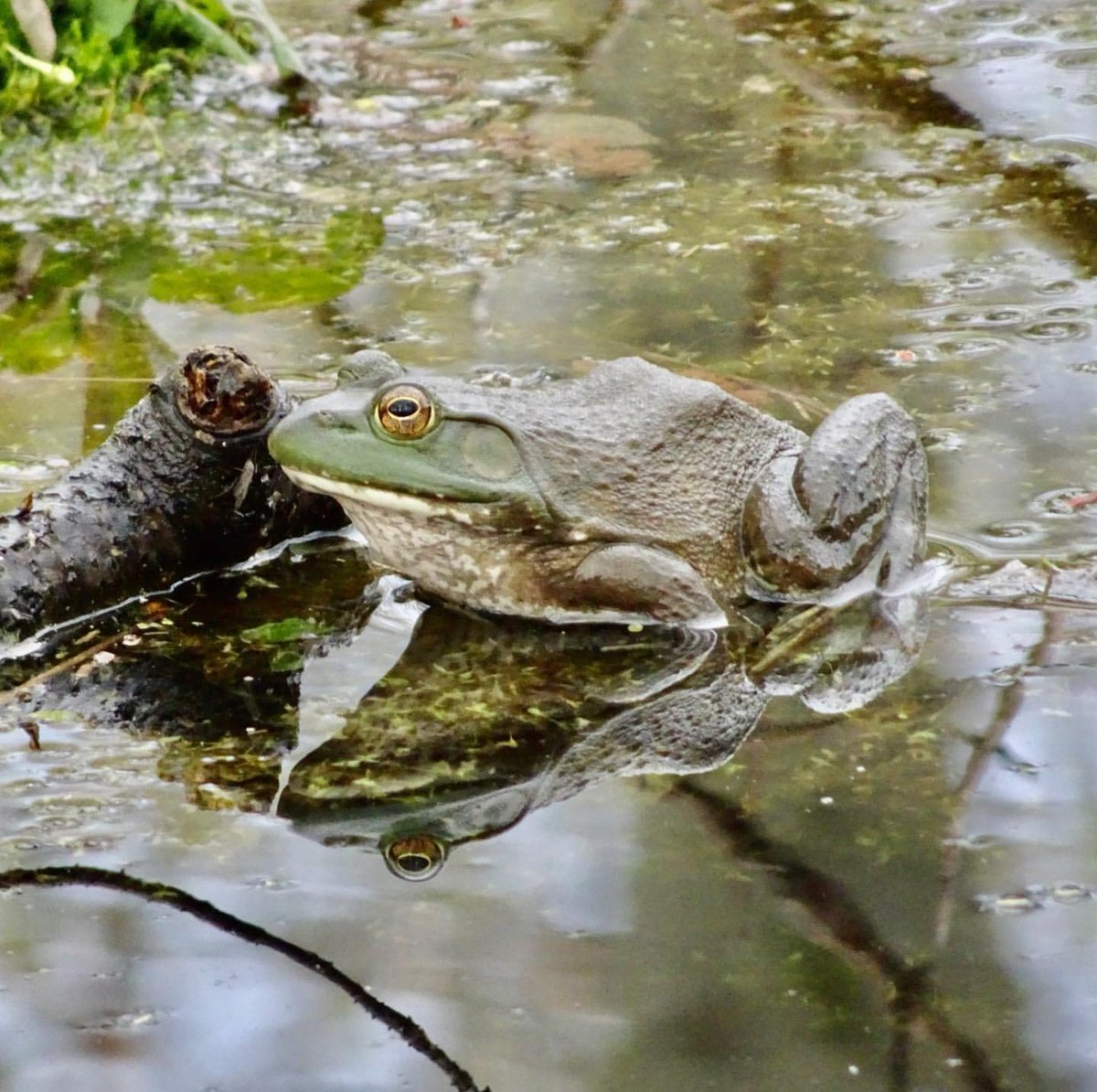 Visit Grove City tweet media