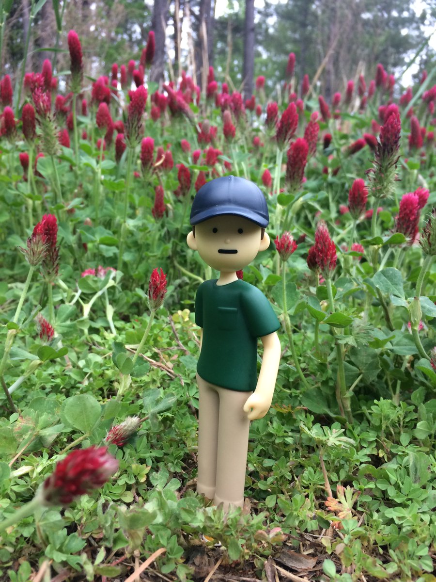 So much crimson clover! We found a huge patch of it like a Tiny Joon sized forest.