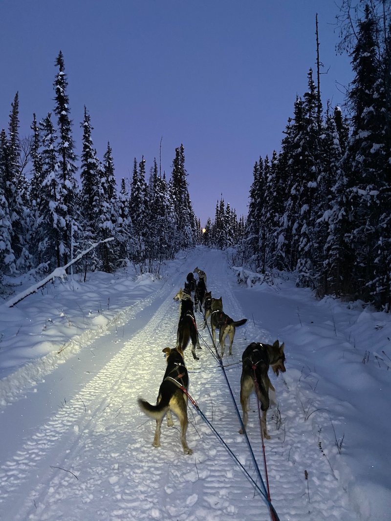 I like to think that in Fairbanks, the sky is the landscape you stand in awe of. And it rules your sense of time and the world, too. And in the fall, the world gets dark and your scope of things gets as narrow as your headlamp beam, and the stars.