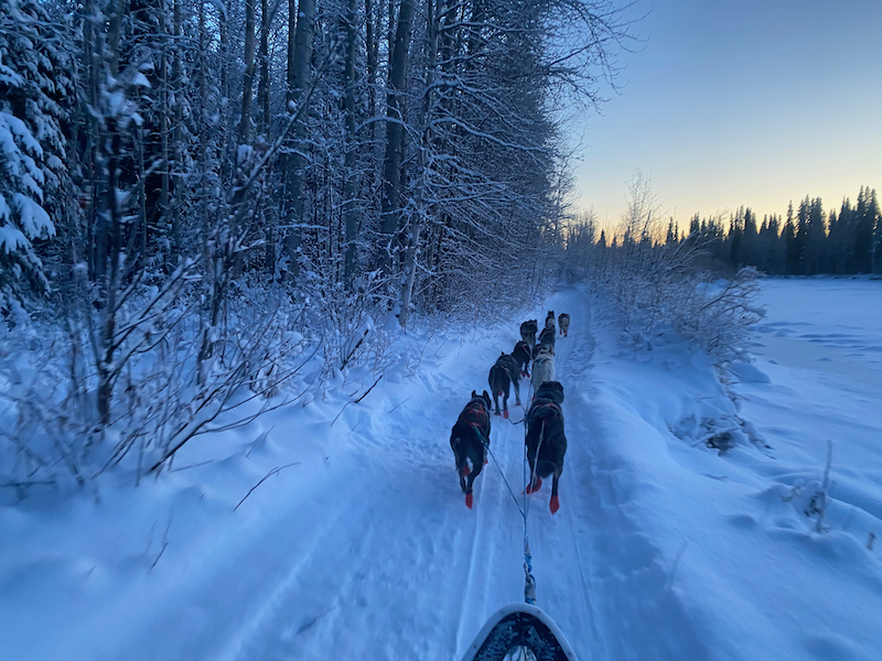 We camped; we mushed; we carried on down the trail