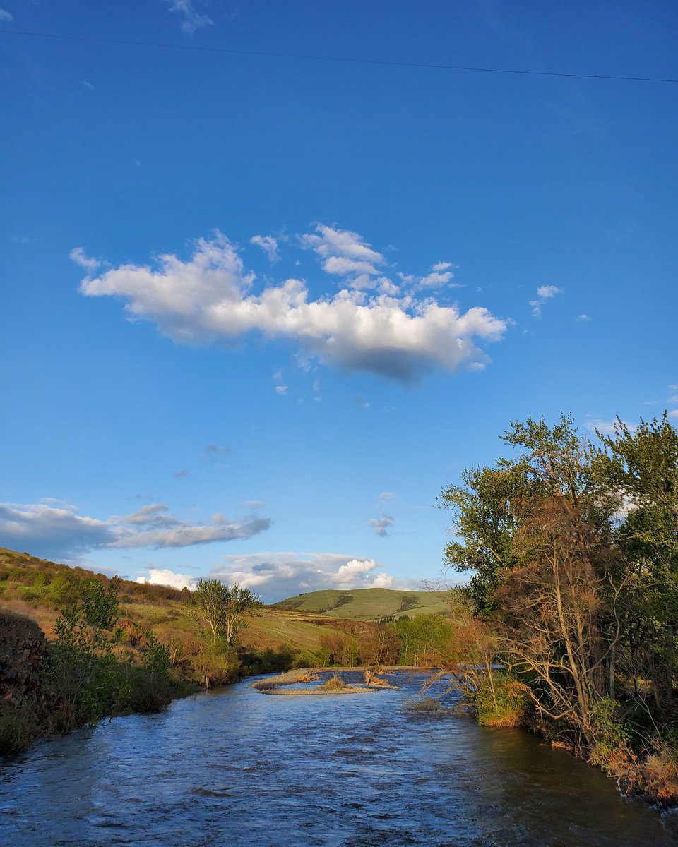 Beauty abounds.
.
Long shadows in the holler.
.
#thornhollow #ctuir #umatillariver #greenhills #evening_sky #eveningvibes #sunset #sunsets #cloudphotography #landscape #landscapephography #landscapephoto  #nature #naturephotography #pnw #pnwphotography #easternoregon #oregon