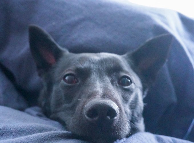 ゲップのtwitterイラスト検索結果 古い順