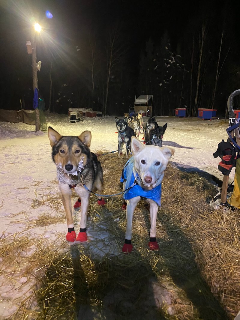 We were able to accomplish the biggest run I have ever done with this group of dogs, and possibly the biggest run I've ever done. The team knocked out 87 miles without breaking a sweat. (Well, dogs don't sweat and it was hella cold. But still!)