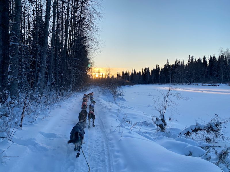 It was getting harder and harder to get myself out on the trail. When I look back at previous year's race logs, I see how closely this correlates with the dark. I work w my psych team on this, take a LOT of vitamin D, and have a romantic relationship with a happy light (Winifred)