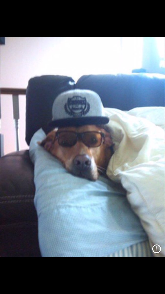 high 🔰 tweet media