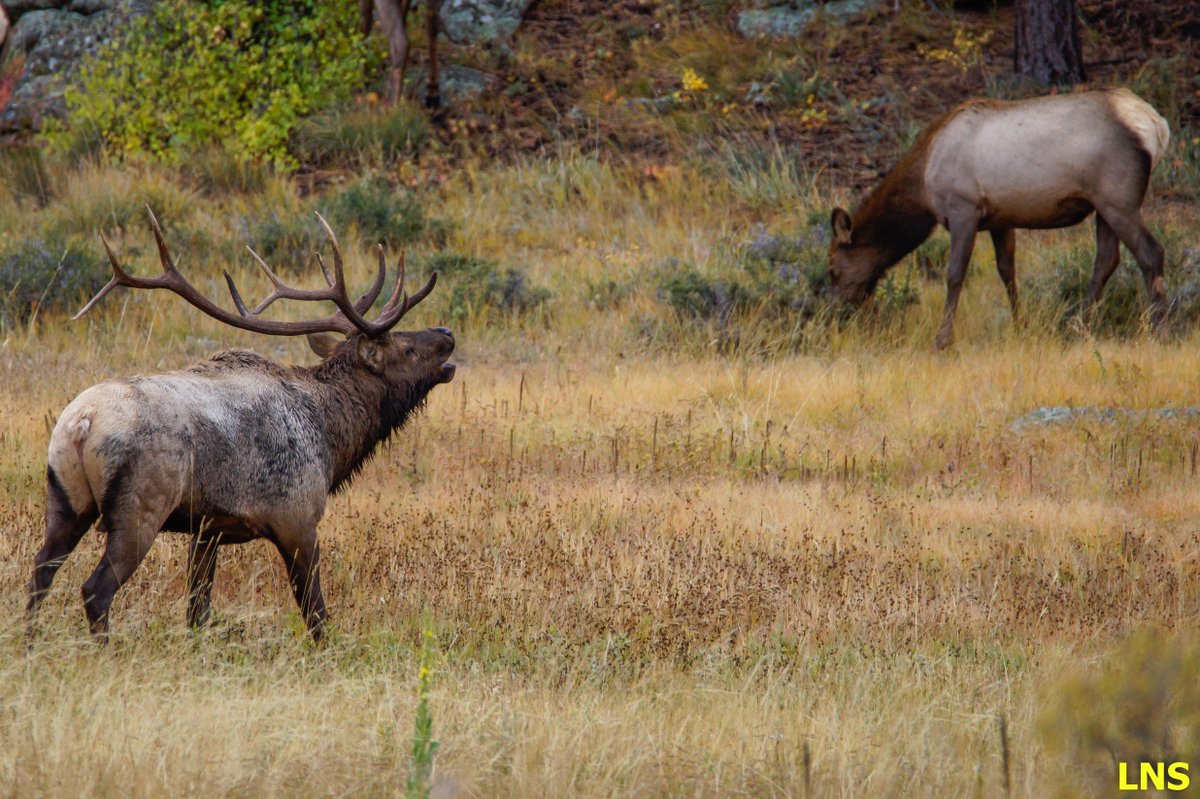 huntavid's tweet image. 