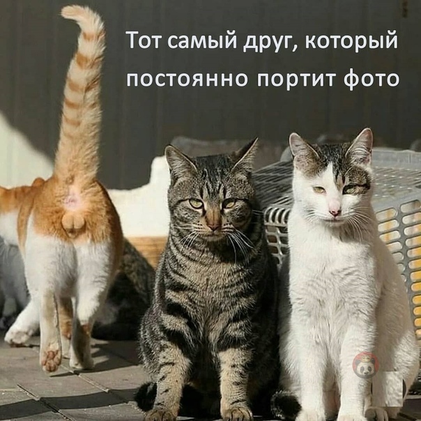 undomial08's tweet image. 