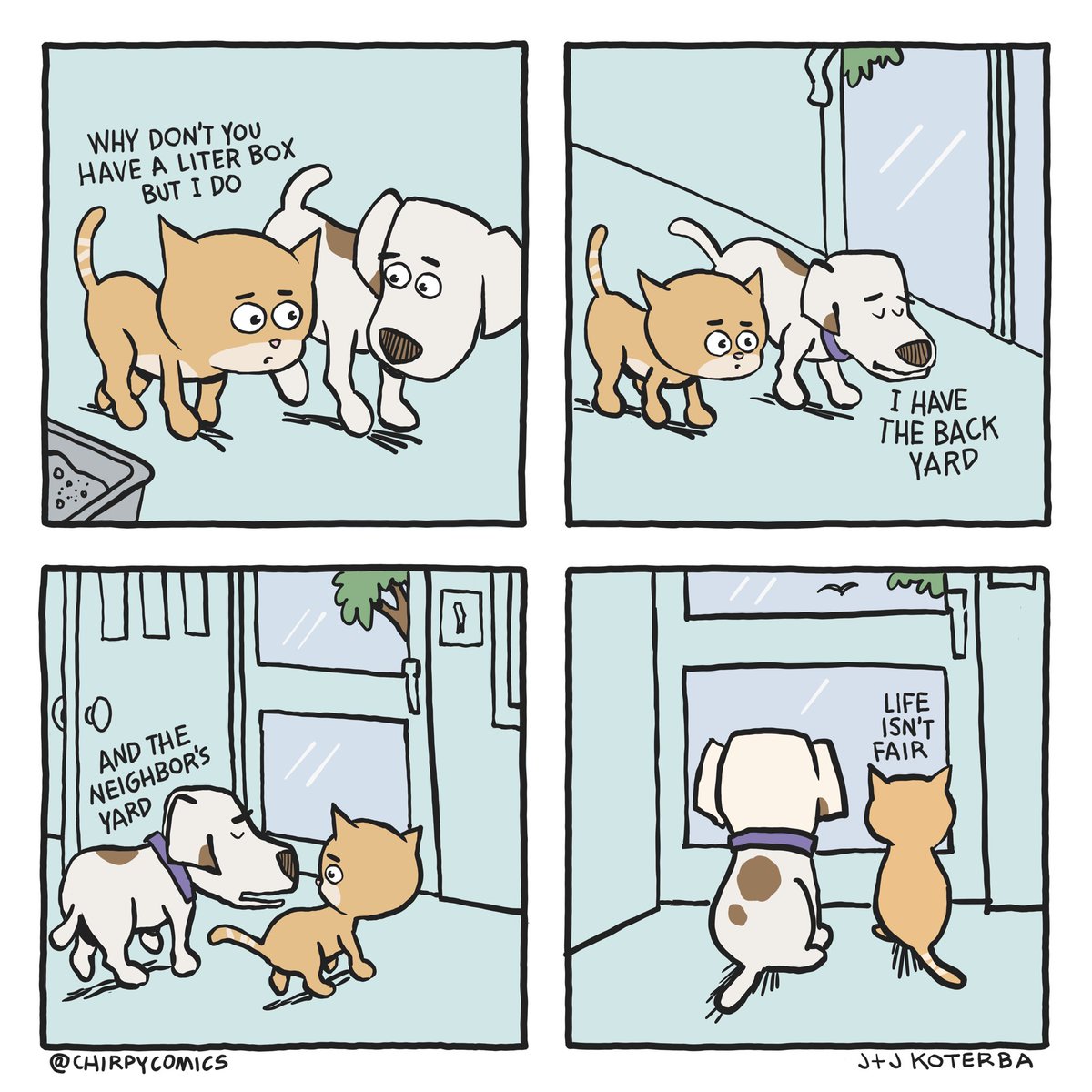 WHY DON’T YOU HAVE A LITTER BOX? https://t.co/Ehe6xlKhyg