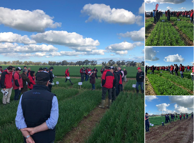 Bogga 🚜🌾🥔🇦🇺😎🤘🏍🐯 tweet media