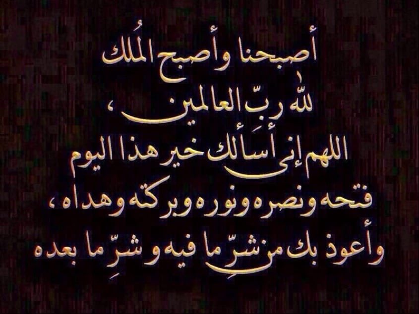 kaledalr's tweet photo. https://t.co/EO4f9MAWb0
