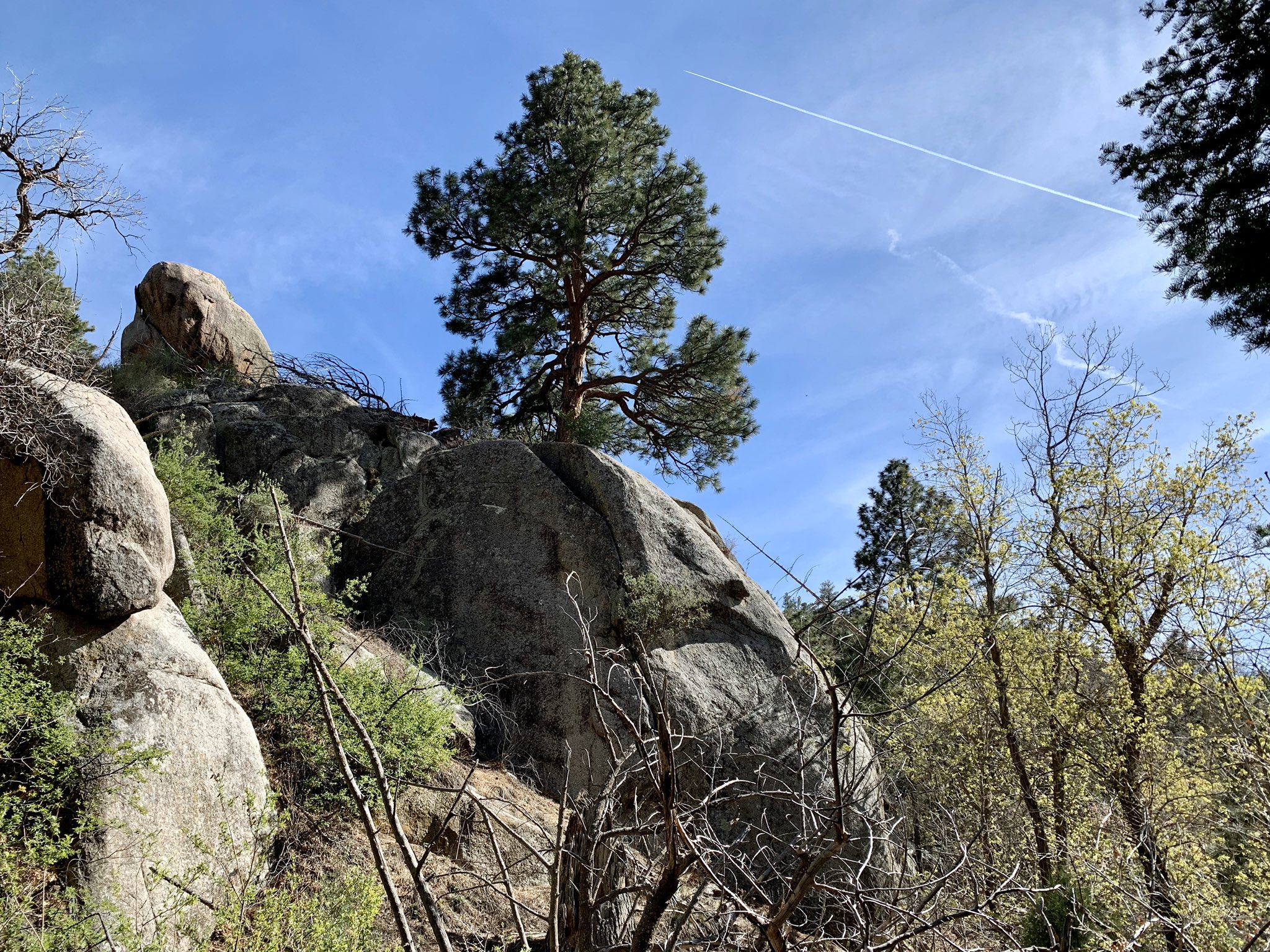 The Hike To The TWA Flight 260 Crash Site 