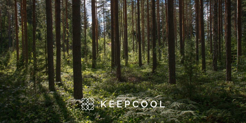 KeepCoolBags's tweet photo. In 50 years, a tree can release about 6,000 pounds of breathable oxygen, enough for about 4 people per year.¹
 
Protecting nature is the most important thing we can do to combat #climatechange and care for the #planet.
 
Thank you for doing your part.
 
¹https://t.co/pXNPSALD1c https://t.co/PpO8CHKVjR