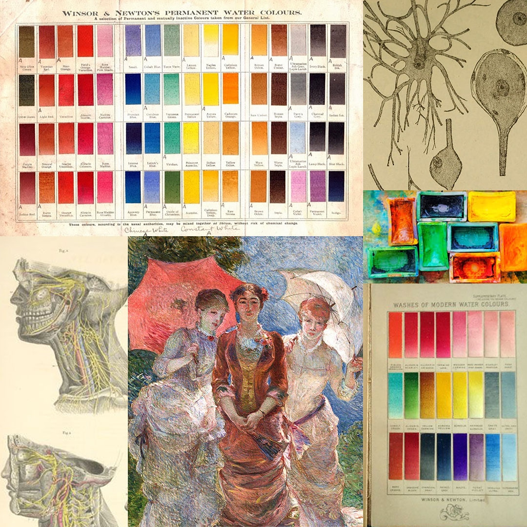 charcotstudio's tweet image. instagram.com/p/B_dNzo5DQkC/…

My weekend in pictures...check out my insta post to learn what it is all about! 🧠💕
#charcotstudio #makingMSvisible #vacma #inspo #startingpoint #moodboard #lookbacktolookforward #impressionism #colours #neurological #medicalillustration #lovelove