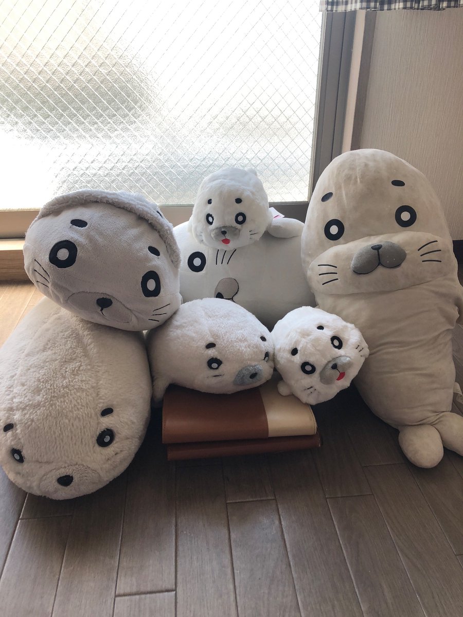 愛されすぎたゴマちゃん 4ページ目 Togetter