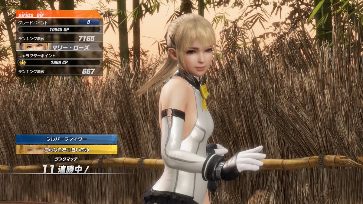 スナイパーシリウス 格闘ゲームのモチベーションって俺個人はキャラクターなんだが 同じ気持ちの人は居るか どのキャラ がオススメですか ってキャラクター選びから相談する人も居るので全員が同じ価値観とは思わないが 俺はマリー居なかったらやって