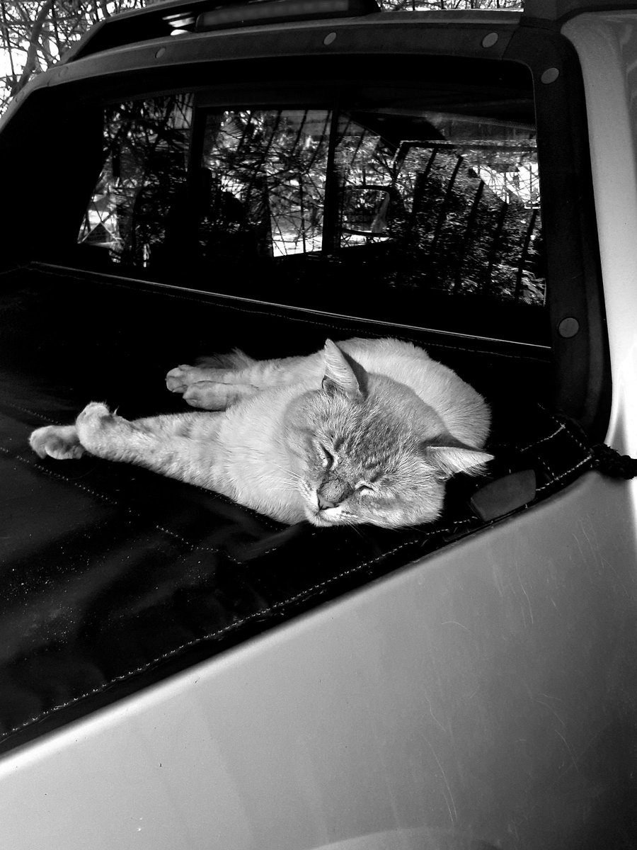 In black and white! #2020covid19lockdownday32!😷❤