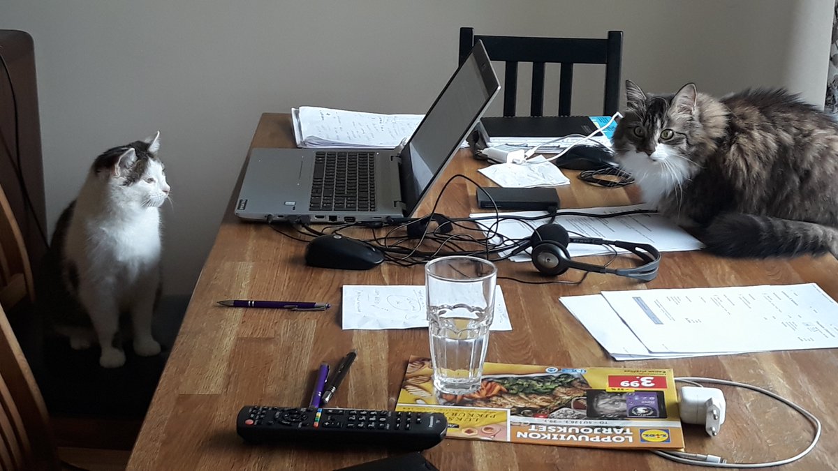 Elämäni kuvina 1/7 ei sanoja, ei ihmisiä. Minut haastoi <a href="/HeliVaisanen/">Heli Väisänen</a> laitetaan haaste eteenpäin <a href="/mrjlankinen/">Merja Lankinen</a> @kettunenhk