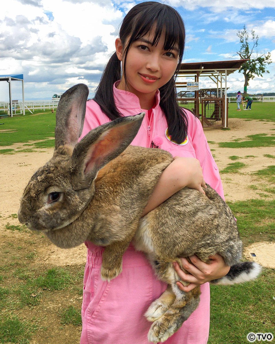 次回は『 超巨大ウサギに㊙赤ちゃんも！動物たちの激レア映像SP』 放送