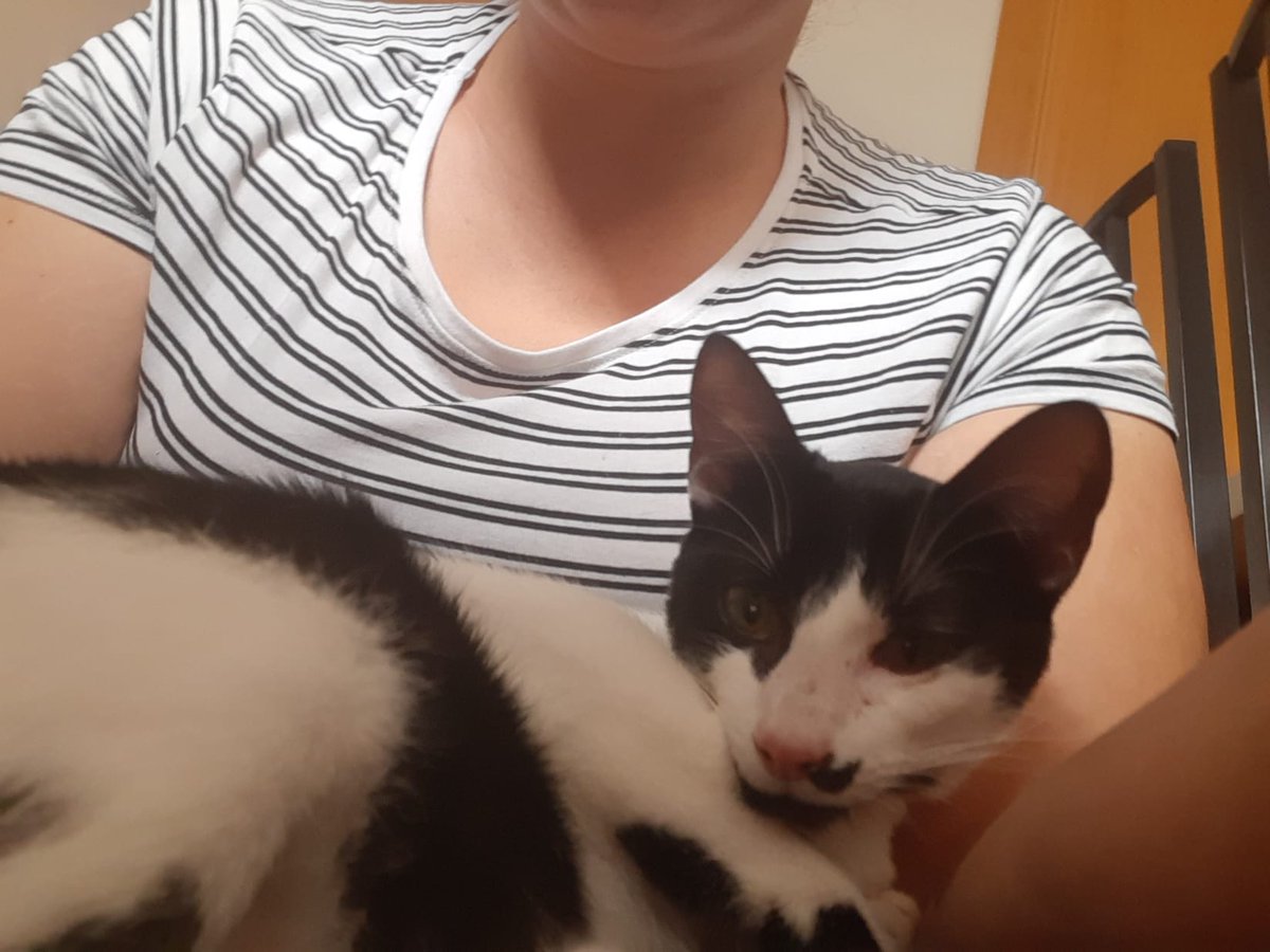 El parto de Alma se ha complicado  NECESITAMOS NODRIZA PARA LOS TRES RECIEN NACIDOS, ES URGENTE POR FAVOR. Necesitan comer cada dos horas, estimulación y mucho calor 💪💪 están en #Madrid y ofrecemos justificante de traslado en caso de ser necesario.velillagatuna@gmail.com