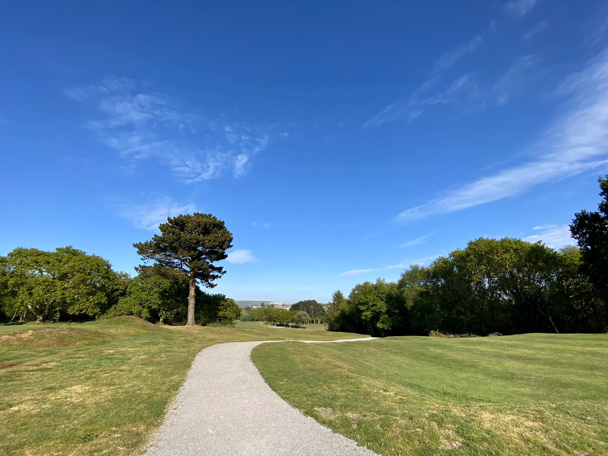 Emma Attrill tweet media