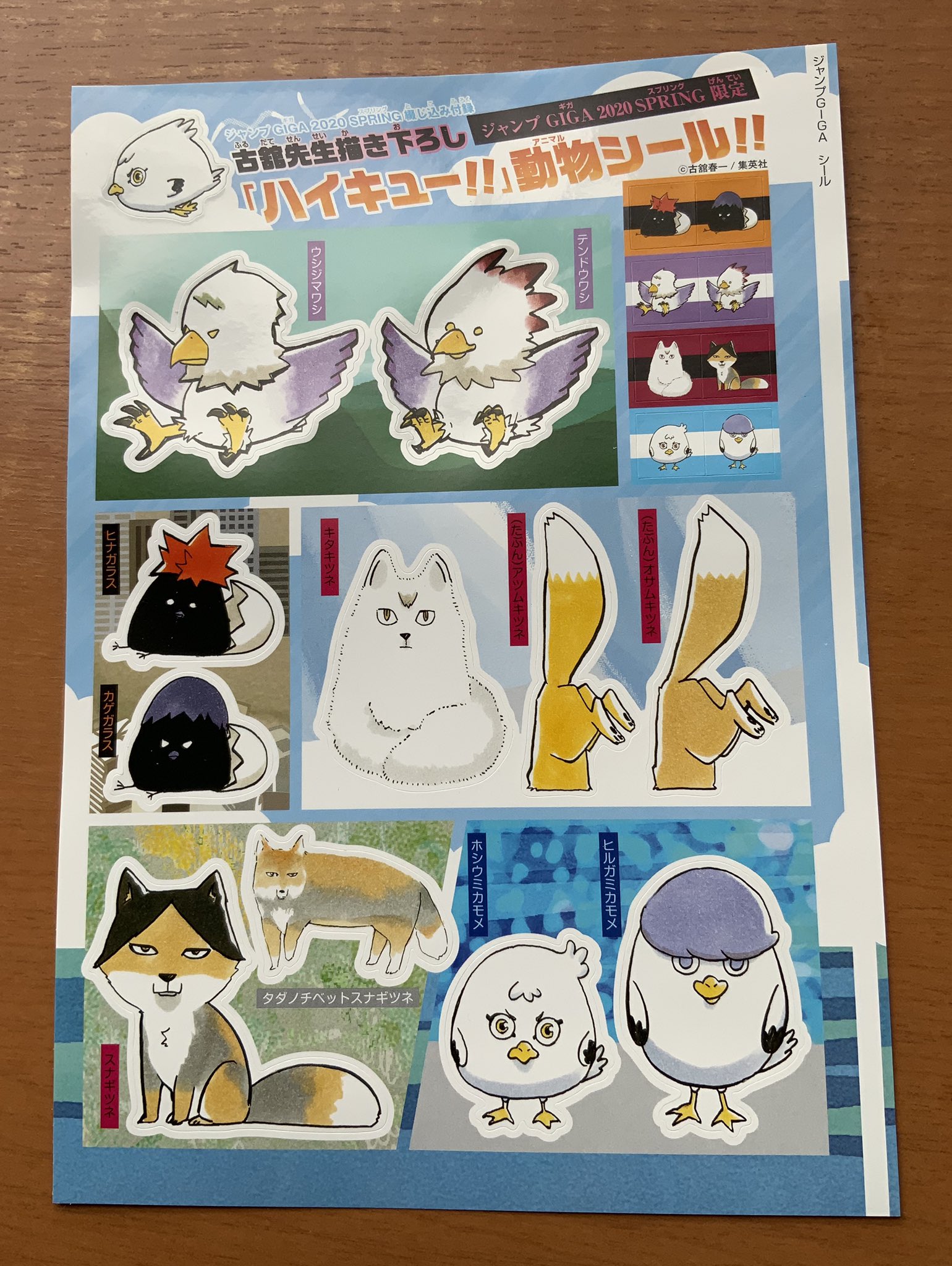 ハイキュー‼︎ サイン色紙 ジャンプGIGA 2020 SUMMER ジャンプギガ 2020 SUMMER 7.27発売! ハイキュー/鬼滅/約ネバ