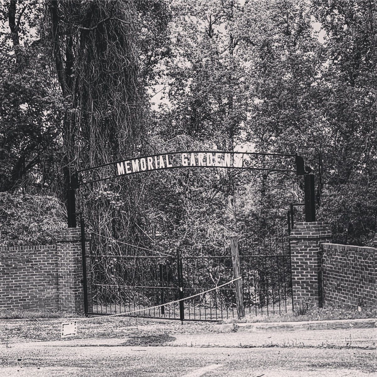 I only got out of the car to peer in at the old chapel, say some small, weird, useless kind of prayer. They’ve padlocked the gates to the cemetery, which seems especially awful somehow: you can get to the admin building, but not to your dead. (5/9)