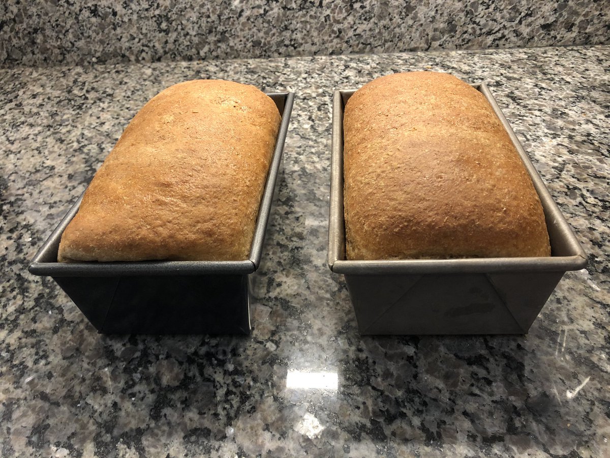 Sandwich bread!  https://tasty.co/recipe/whole-wheat-sandwich-bread