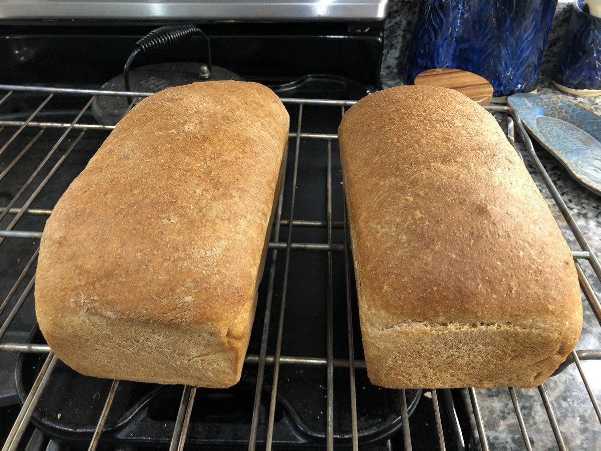 Sandwich bread!  https://tasty.co/recipe/whole-wheat-sandwich-bread