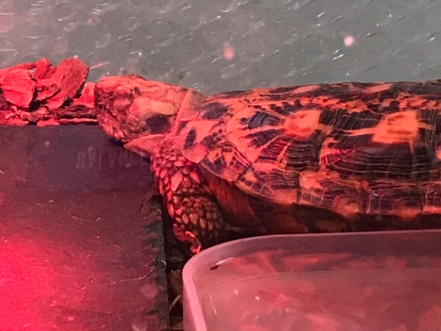 気持ちよさそうだねぇ( ⸝⸝⸝ᵕᴗᵕ⸝⸝⸝ )