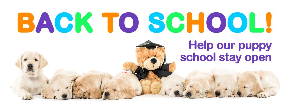 One school that must stay open! With much of our fundraising programs shut down, we urgently need to raise $120,000 before the end of the financial year to keep our puppies in school so they can graduate and become life-changing Guide and Assistance Dogs. bit.ly/2zzGhmn