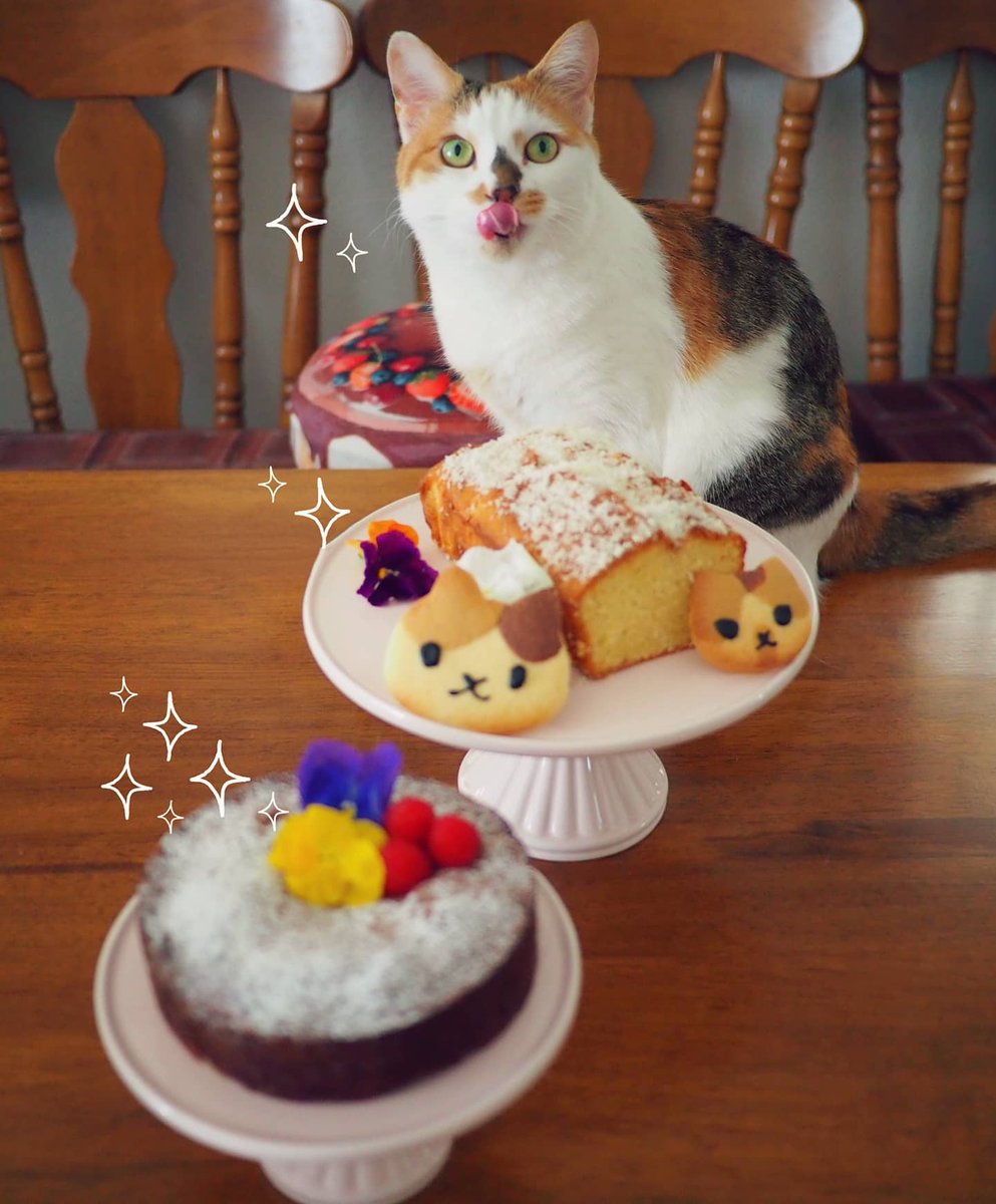 ট ইট র レイカ 三毛猫love 家族の誕生日にケーキ祭り ピエールエルメパリのレシピ とても美味しかった T Co Ig24nnp3zh