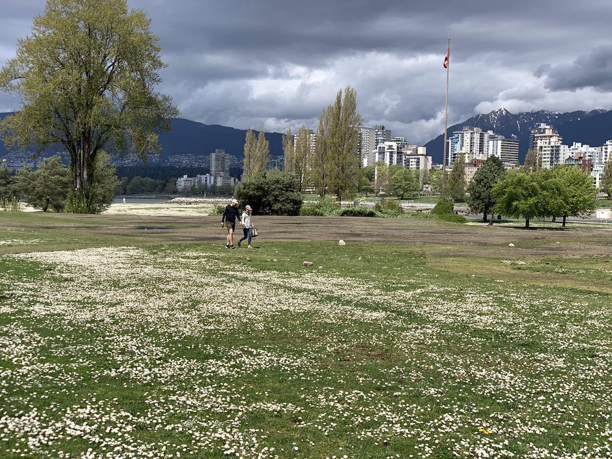 Some great walks this weekend #lovemycity